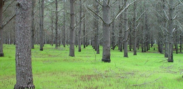 dsc20050813_115856_52